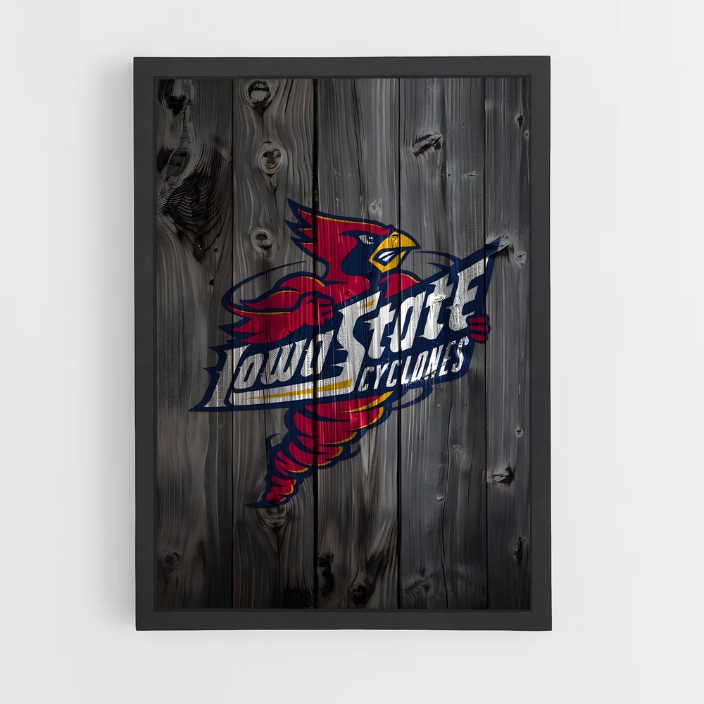 Poster Cyclones en Fête – affiche Basketball (vue 2)